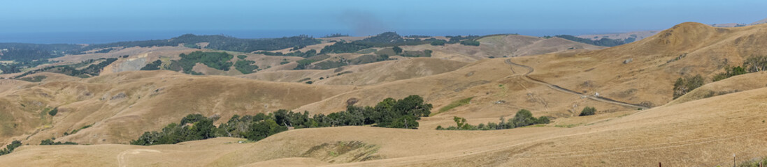 Fototapeta na wymiar Cambria, CA, USA - June 8, 2021: Panorama landscape on Back country with dry ranch hills and patches of green trees. Ocean blue on horizon.