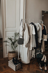 Photo of cozy apartment with hanger. Snapshot of white room with wooden doors, stylish clothes and big plant