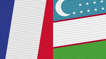 Uzbekistan and France Two Half Flags Together Fabric Texture Illustration