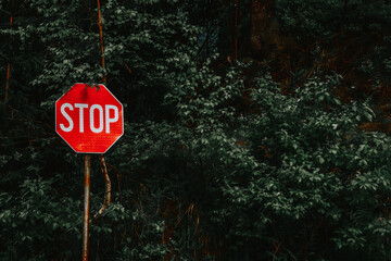 STOP road sign in front of trees - obrazy, fototapety, plakaty