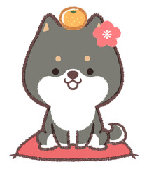 黒柴犬のお正月