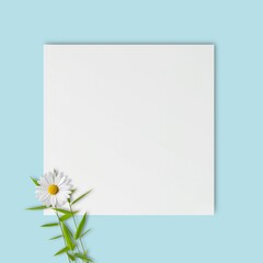 Creative look of white message paper with chamomile leaf and flower. Minimal concept messages, greeting cards or invitations on a pastel blue background