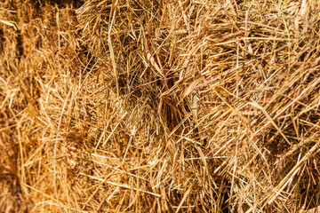 Frame in a hay or straw stack.
