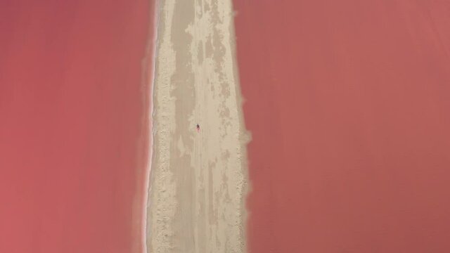TOP DOWN: Female traveler walks along an empty dirt road crossing pink salt lakes of Mexico. Drone point of view of a young woman exploring the vibrant pink salt farm in Yucatan on a sunny summer day.