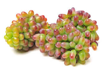 red grape on white background 