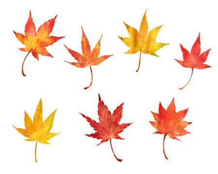157 1 件の最適な 葉っぱ 紅葉 画像 ストック写真 ベクター Adobe Stock