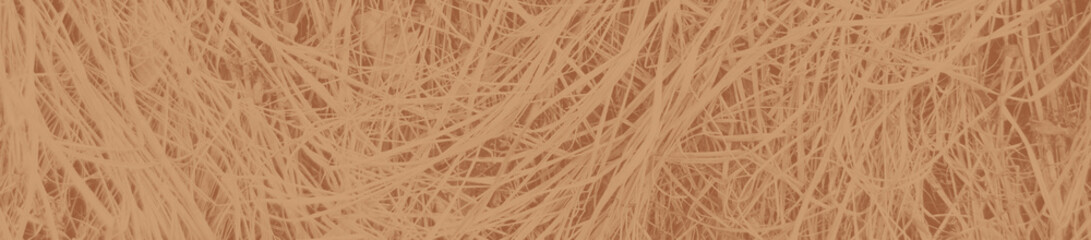 abstract brown color background for design. cocoa backdrop