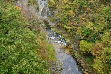 橋から見下ろす秋保大滝下流の紅葉情景＠宮城