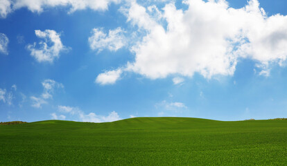 green grass and blue sky
