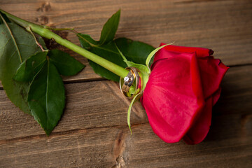 Single Rose with Wedding Bands