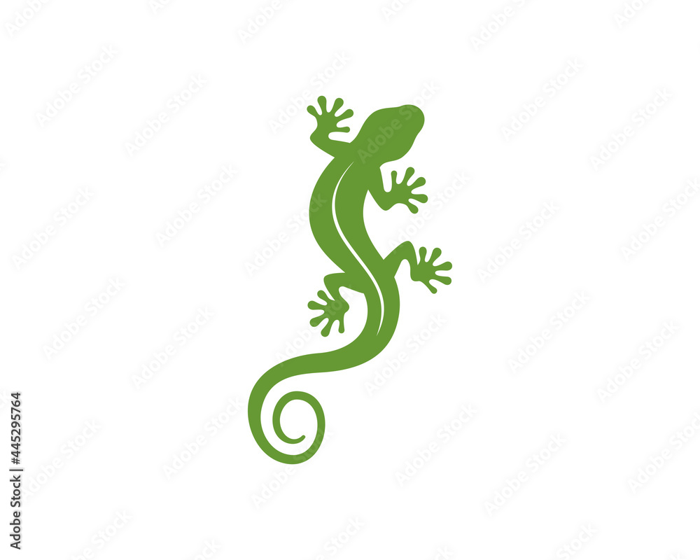 Canvas Prints green gecko vector illustration logo