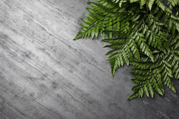 Beautiful tropical fern leaves on grey stone background, flat lay. Space for text