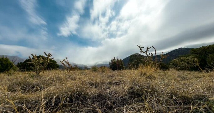 Clouds Soaring Over Grassy Field With Cactus Plants Growing At Pino Trailhead In Elena Gallegos Open Space, Albuquerque, New Mexico. low-level, time lapse
