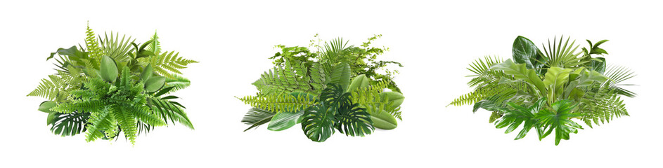 Beautiful composition with fern and other tropical leaves on white background, collage. Banner design - obrazy, fototapety, plakaty