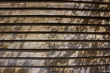 Textured old clapboard weatherboard wooden wall with tree shadows.