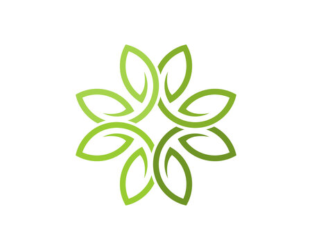 Circular nature leaves with outline logo