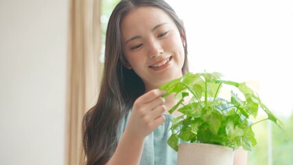 観葉植物を持つ女性