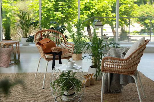 Indoor terrace interior with elegant furniture and houseplants