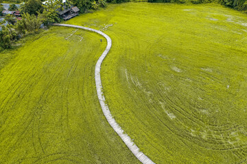 Thung Na Mui Bridge in the rice terraces in Nakhon Nayok, Thailand