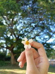 hand with a flower