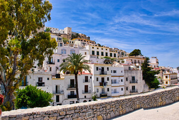 Buildings and palm trees during the daytime in Ibiza