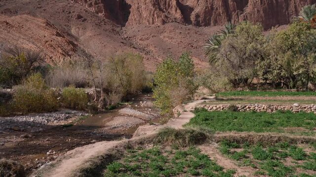 POV Walking Through An Oasis in a Middle East Country Surrounded by Mountains