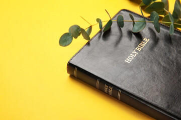 Obraz premium Holy Bible and eucalyptus branch on color background, closeup