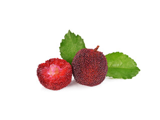 waxberry isolated on white background