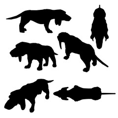 Set with silhouettes of a dog with long ears in different positions isolated on a white background. Vector illustration