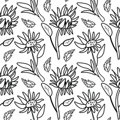 Vector seamless pattern with flowers on white isolated hand drawn background.Botanical,Spring,Summer doodle style black line print.Designs for textiles,fabic,wrapping paper,packaging,web,invitations.