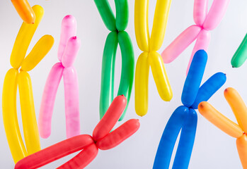 Multicolored modeling balloons as x chromosomes on white background. Scientific concept. Rectangle...