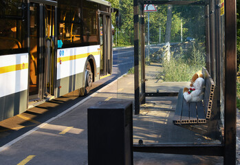Fototapeta na wymiar bus stop with bus and passengers. Funny photo. Summer day. bus stop on the city street. In the background of buses and roads. Sketch. Teddy bears 