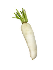 Daikon radish with green stem vegetable root on white background, White radish , organic food