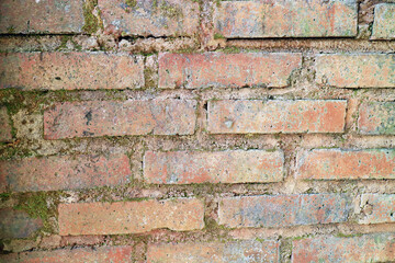 old brick wall in a house