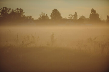 misty morning sunrise
