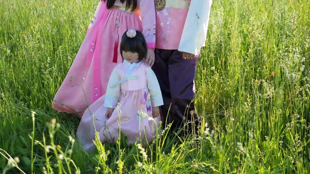 Korean family in national costumes is sitting in a field at sunset
