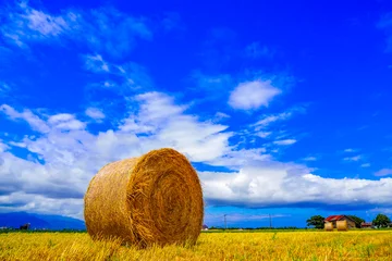 Fotobehang Landschap van velden en strorollen in Hokkaido Japan © beeboys
