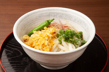 冷やしたぬきうどん