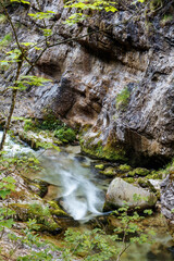 Fototapeta premium Schöner sommerlicher Gebirgsbach, Weissbachschlucht