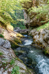 Schöner sommerlicher Gebirgsbach, Weissbachschlucht