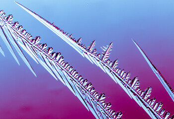 Fototapeta premium Blue-pink patterns from frost on glass as a background.