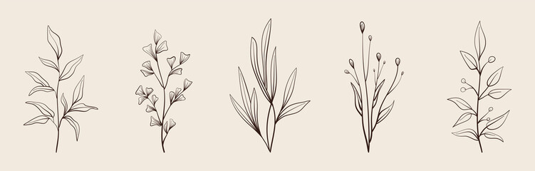 Set of vector vintage floral elements. Cute set of doodle vector. Elements flowers, branches, swashes and flourishes	
