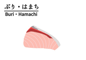 ブリ・ハマチの切り身のイラスト