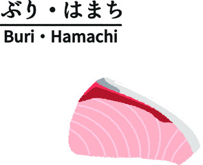 ブリ・ハマチの切り身のイラスト