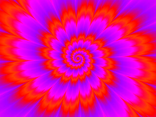 Scarlet flower. Red flower blossom. Optical expansion illusion.