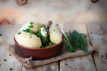 Boiled young potatoes with herbs and butter in a bowl.