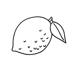 Fruit doodle lemon. Fresh, healthy, tropical food. Hand drawn illustration. 