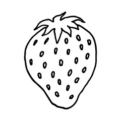 Fruit doodle strawberry. Fresh, healthy, sweet food. Hand drawn illustration. 