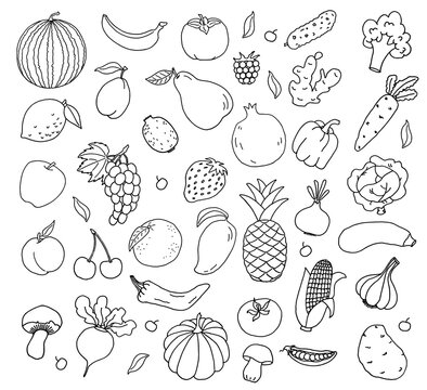 Vegetables and Fruits doodle collection. Set of fresh, healthy, vegan food. Hand drawn illustration. 