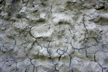 texture of the stone